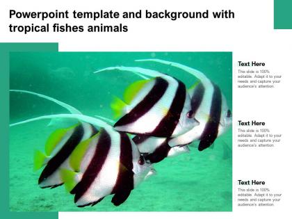 Powerpoint template and background with tropical fishes animals