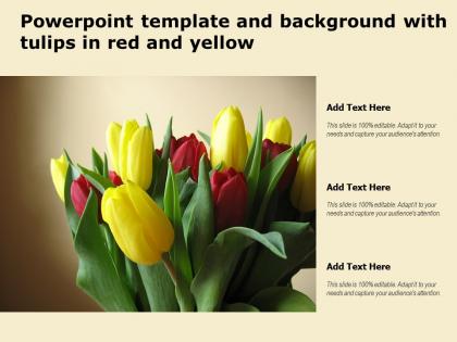 Powerpoint template and background with tulips in red and yellow