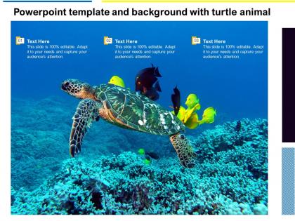 Powerpoint template and background with turtle animal
