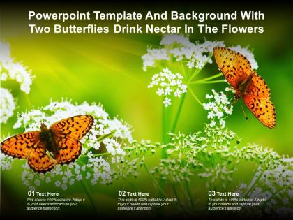 Powerpoint template and background with two butterflies drink nectar in the flowers
