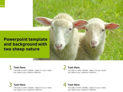 Powerpoint template and background with two sheep nature