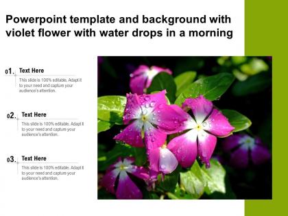 Powerpoint template and background with violet flower with water drops in a morning