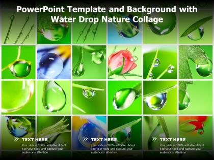 Powerpoint template and background with water drop nature collage