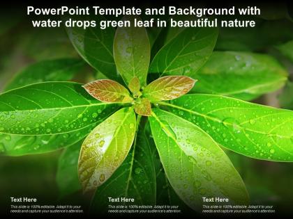 Powerpoint template and background with water drops green leaf in beautiful nature