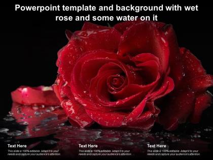 Powerpoint template and background with wet rose and some water on it