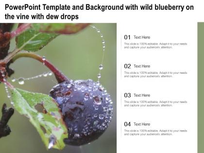 Powerpoint template and background with wild blueberry on the vine with dew drops