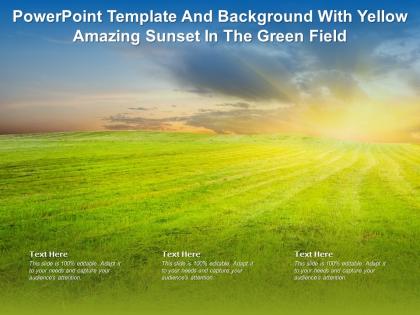 Powerpoint template and background with yellow amazing sunset in the green field