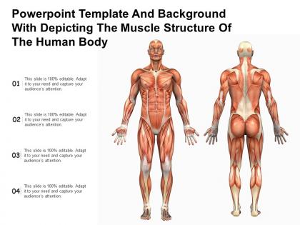 Powerpoint template background with depicting the muscle structure of the human body