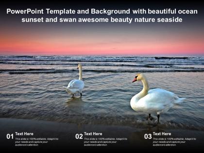 Powerpoint template with beautiful ocean sunset and swan awesome beauty nature seaside