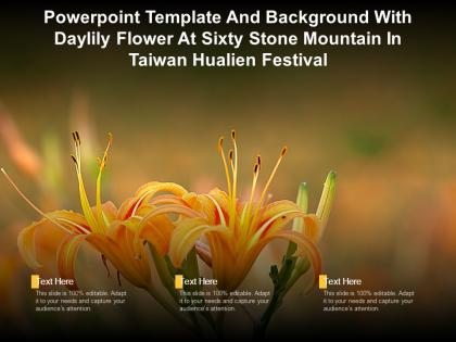 Powerpoint template with daylily flower at sixty stone mountain in taiwan hualien festival