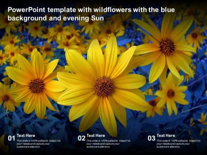 Powerpoint template with wildflowers with the blue background and evening sun