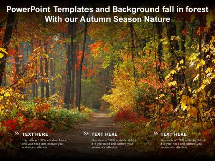 Powerpoint templates and background fall in forest with our autumn season nature