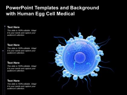 Powerpoint templates and background with human egg cell medical