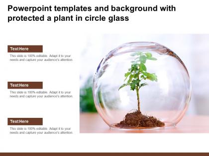 Powerpoint templates and background with protected a plant in circle glass