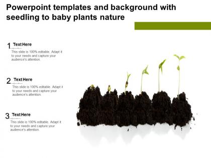 Powerpoint templates and background with seedling to baby plants nature