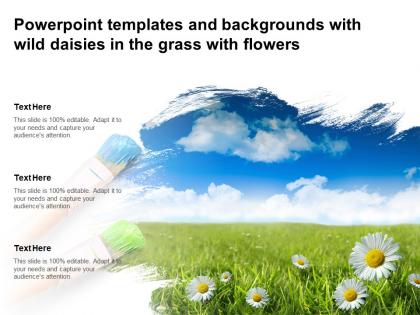 Powerpoint templates and backgrounds with wild daisies in the grass with flowers