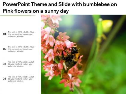 Powerpoint theme and slide with bumblebee on pink flowers on a sunny day