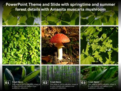 Powerpoint theme and slide with springtime and summer forest details with amanita muscaria mushroom