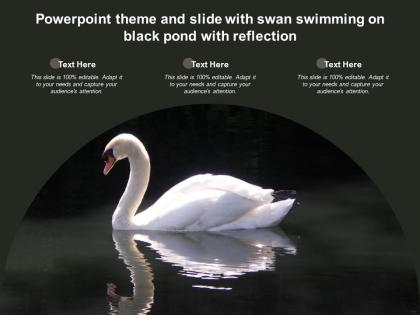 Powerpoint theme and slide with swan swimming on black pond with reflection