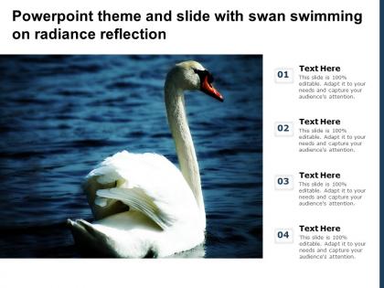 Powerpoint theme and slide with swan swimming on radiance reflection