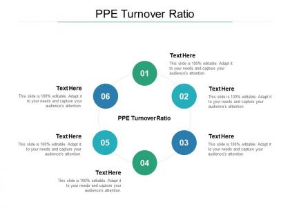 Ppe turnover ratio ppt powerpoint presentation microsoft cpb