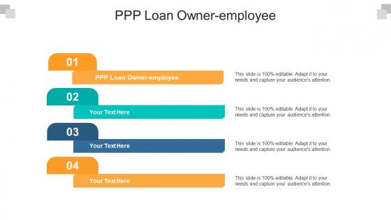 Ppp loan owner employee ppt powerpoint presentation icon graphics design cpb