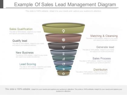 Ppt example of sales lead management diagram