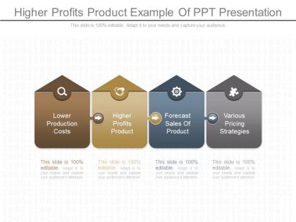 Ppt higher profits product example of ppt presentation