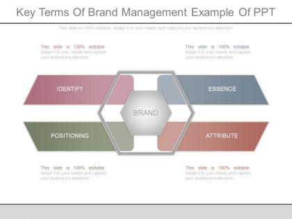 Ppt key terms of brand management example of ppt