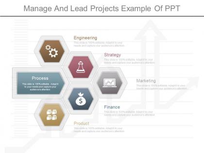 Ppt manage and lead projects example of ppt