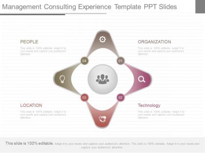 Ppt management consulting experience template ppt slides