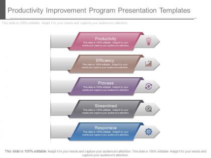 Ppt productivity improvement program presentation templates