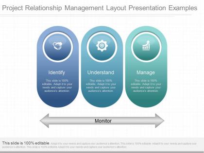 Ppt project relationship management layout presentation examples