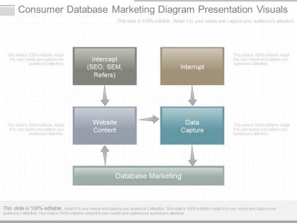 Ppts consumer database marketing diagram presentation visuals