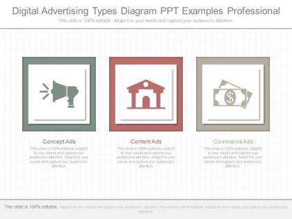 Ppts digital advertising types diagram ppt examples professional