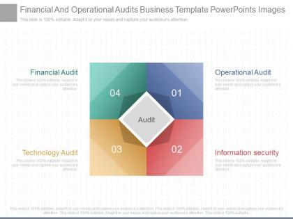 Ppts financial and operational audits business template powerpoints images