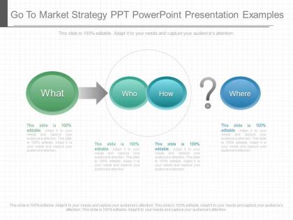 Ppts go to market strategy ppt powerpoint presentation examples