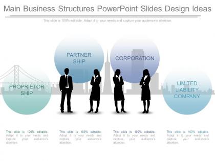 Ppts main business structures powerpoint slides design ideas