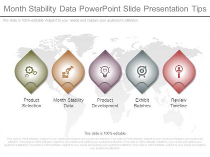 Ppts month stability data powerpoint slide presentation tips