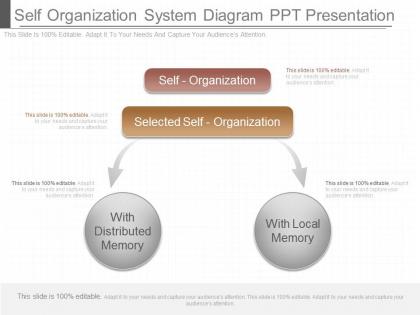 Ppts self organization system diagram ppt presentation