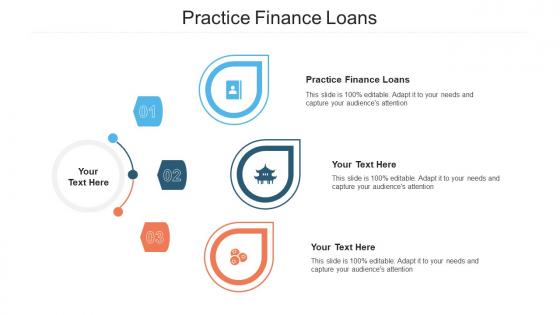 Practice Finance Loans Ppt Powerpoint Presentation Portfolio Professional Cpb
