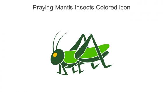 Praying Mantis Insects Colored Icon In Powerpoint Pptx Png And Editable Eps Format