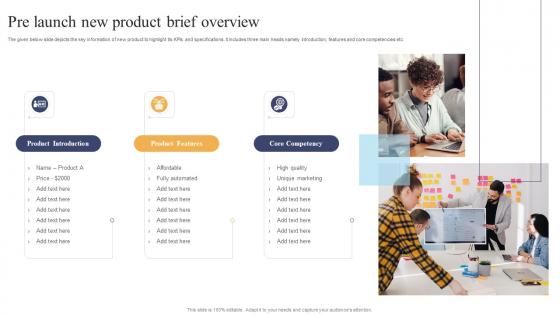 Pre Launch New Product Brief Overview