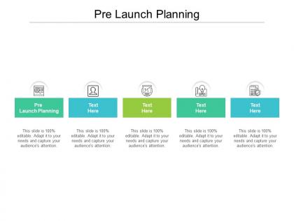 Pre launch planning ppt powerpoint presentation slides show cpb