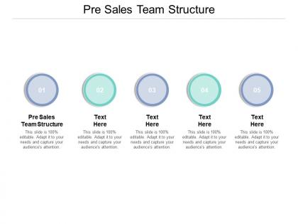 Pre sales team structure ppt powerpoint presentation slides aids cpb