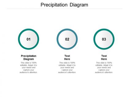Precipitation diagram ppt powerpoint presentation file background images cpb