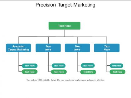 Precision target marketing ppt powerpoint presentation icon gallery cpb