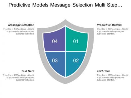 Predictive models message selection multi step campaigns raw data
