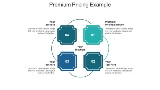 Premium pricing example ppt powerpoint presentation professional gridlines cpb