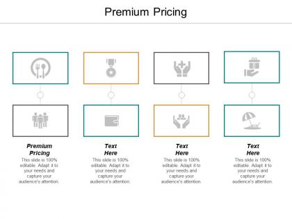Premium pricing ppt powerpoint presentation portfolio objects cpb